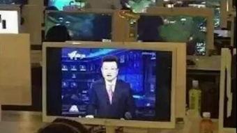 搞笑的的新闻视频